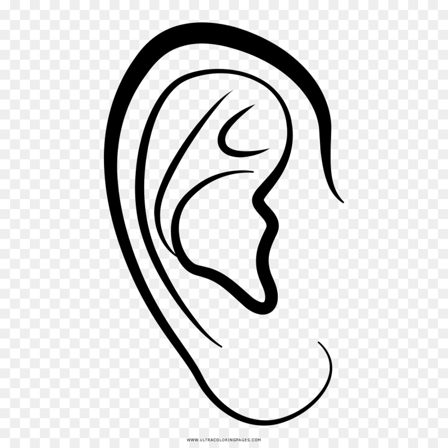 Ear Drawing Auricle Coloring book - ear png download - 1000*1000 - Free Transparent  png Download.