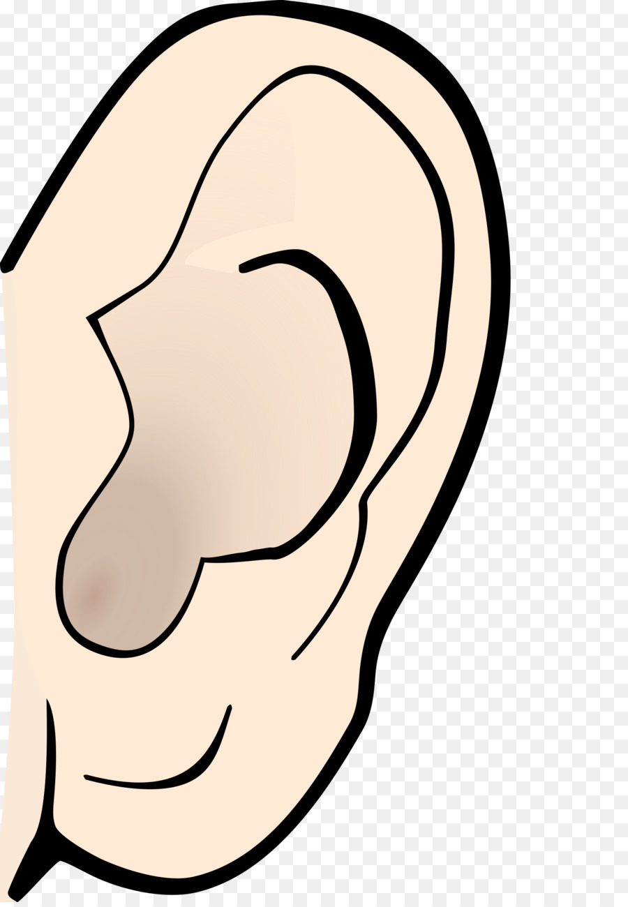 Ear Anatomy Hearing Pointy ears Clip art - Ear Noise Cliparts png download - 1671*2400 - Free Transparent  png Download.