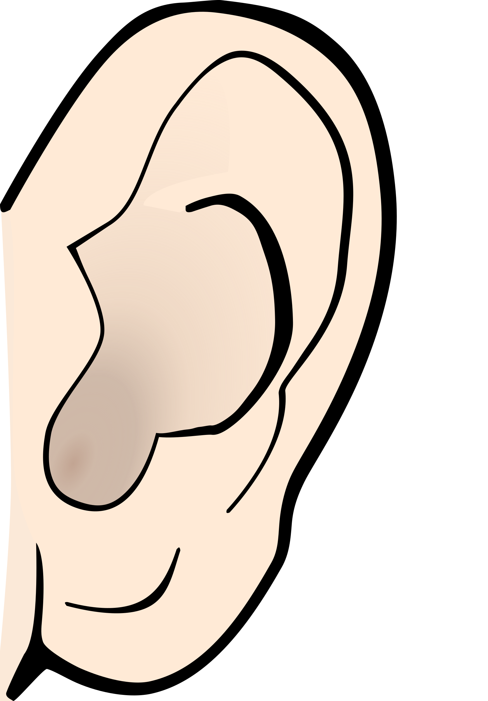 Ear Anatomy Hearing Pointy Ears Clip Art Ear Noise Cliparts Png