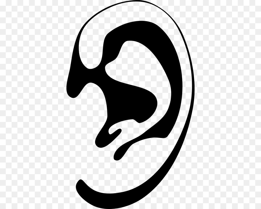 Ear Drawing Clip art - ear png download - 442*720 - Free Transparent Ear png Download.