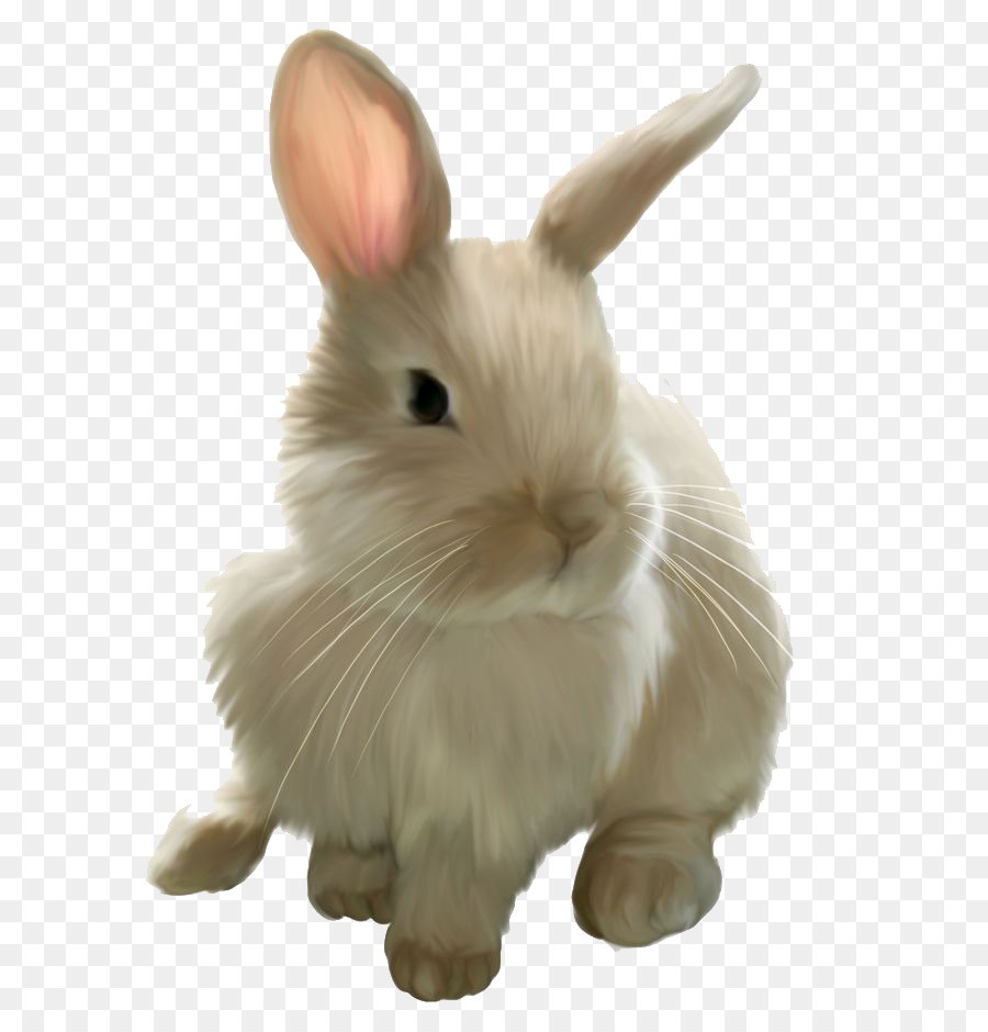 Easter Bunny Rabbit Clip art - Easter Rabbit PNG Image png download - 708*934 - Free Transparent Easter Bunny png Download.