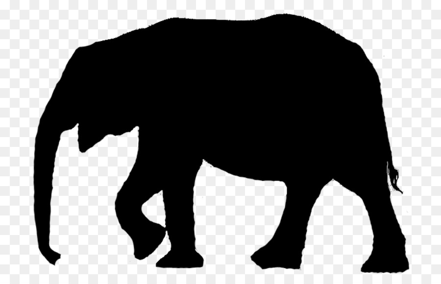 Asian elephant Portable Network Graphics Clip art Silhouette -  png download - 810*573 - Free Transparent Asian Elephant png Download.