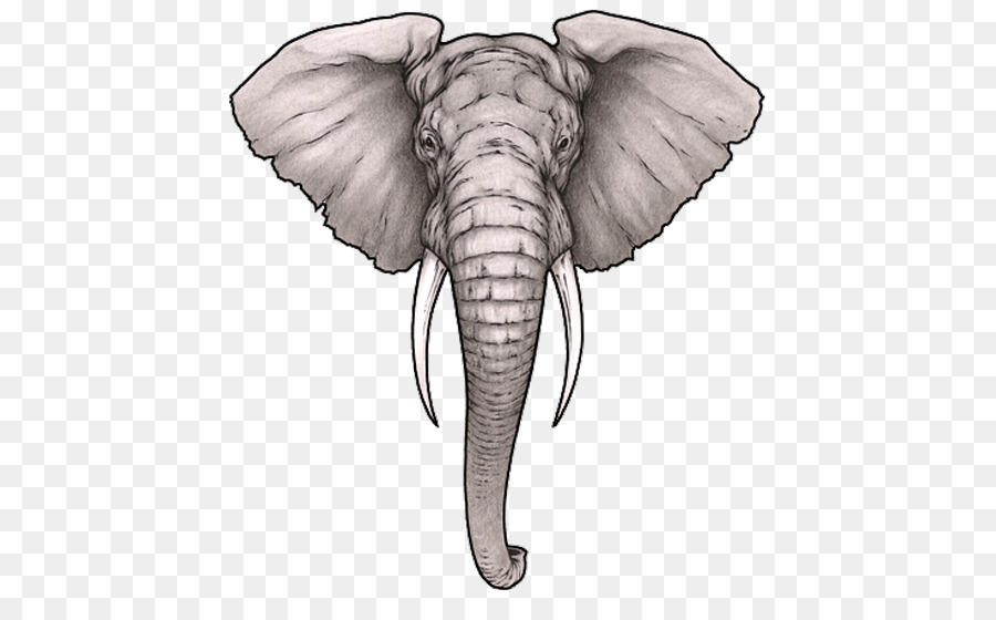 Sleeve tattoo Elephant Tattoo artist Tattoo ink - elephant head png download - 500*544 - Free Transparent  png Download.