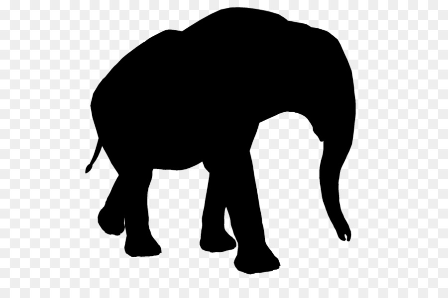 Indian elephant African elephant Vector graphics Illustration -  png download - 600*600 - Free Transparent Indian Elephant png Download.