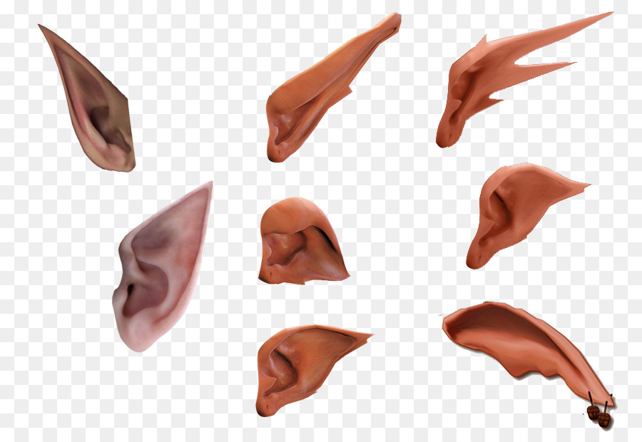Ear Elf Software - Wizard ears Daquan material free to pull png download - 881*606 - Free Transparent  png Download.
