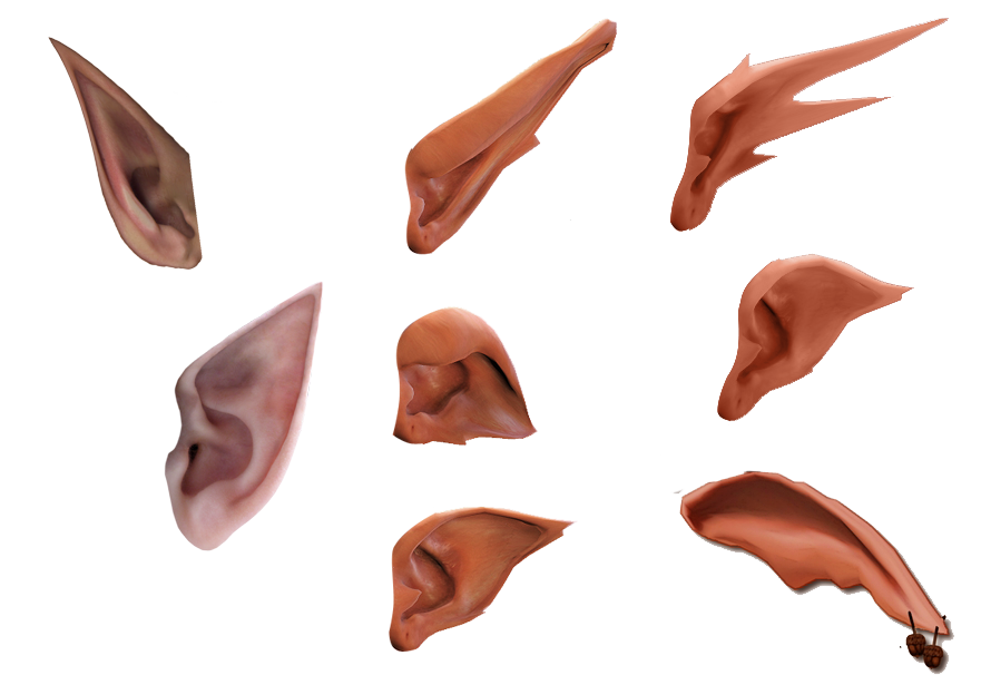 Ear Elf Software - Wizard ears Daquan material free to pull png