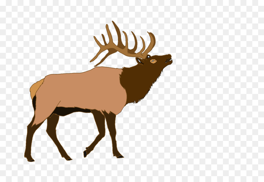 Elk Deer Illustration Vector graphics Moose - elk silhouette png moose silhouette png download - 1787*1200 - Free Transparent Elk png Download.