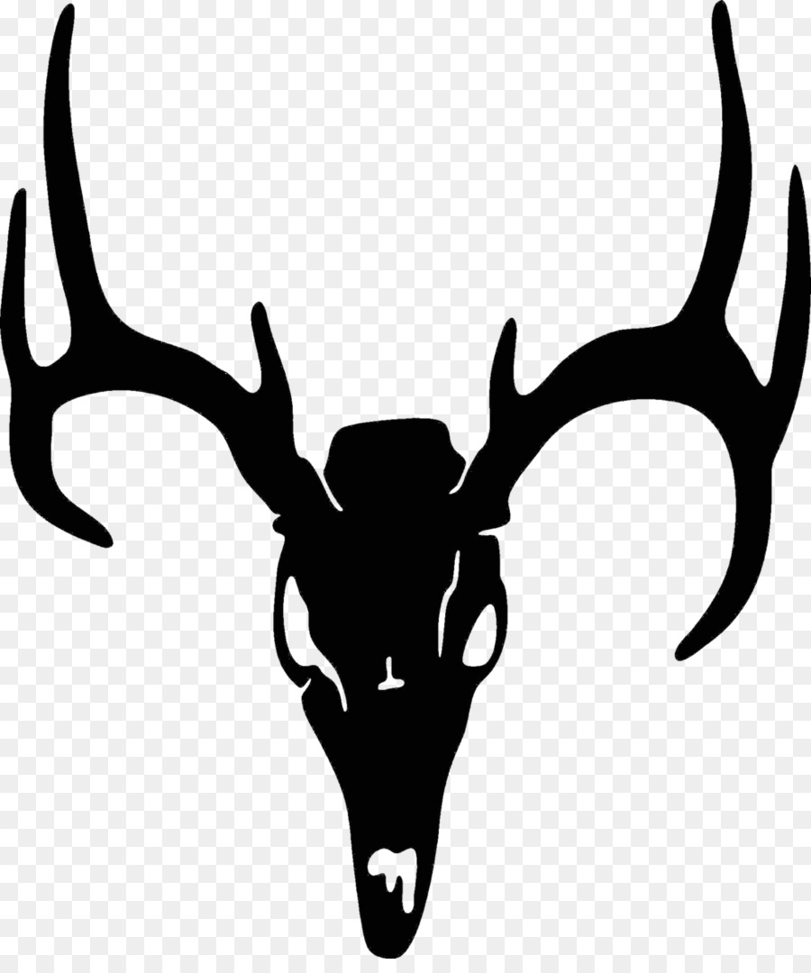 White-tailed deer Elk Antler Clip art - deer horn png download - 1000*1182 - Free Transparent Deer png Download.