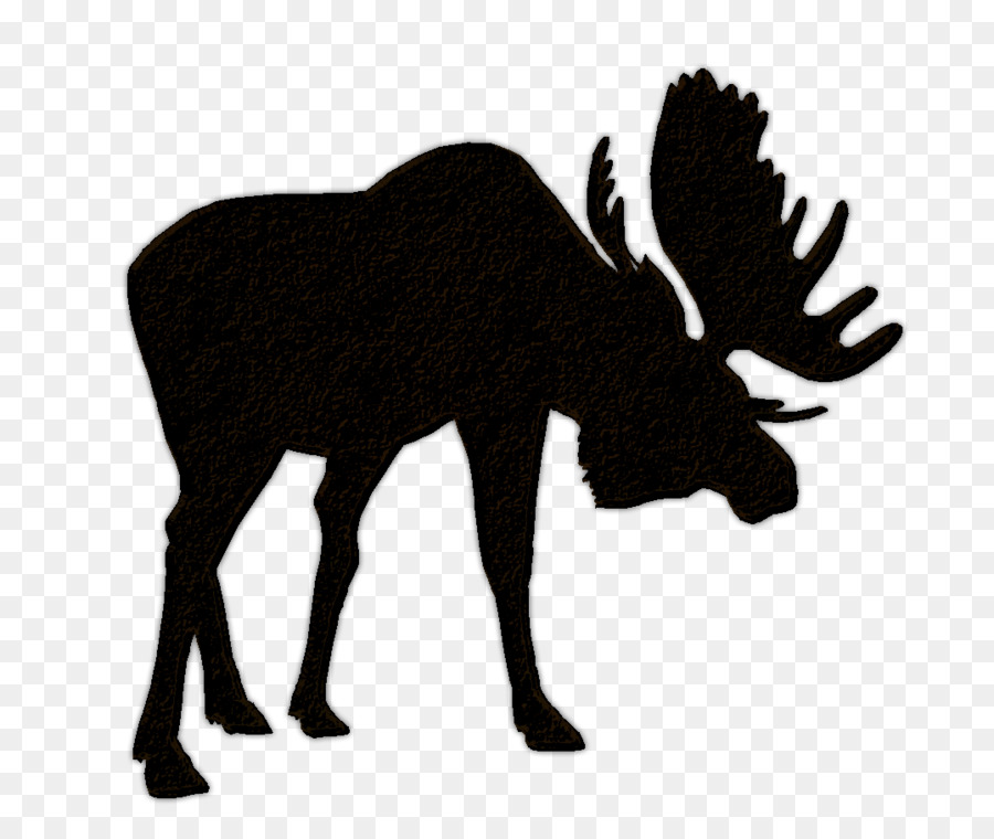 Moose Elk Hunting Bear Clip art - Llama Head Cliparts png download - 1077*909 - Free Transparent Moose png Download.
