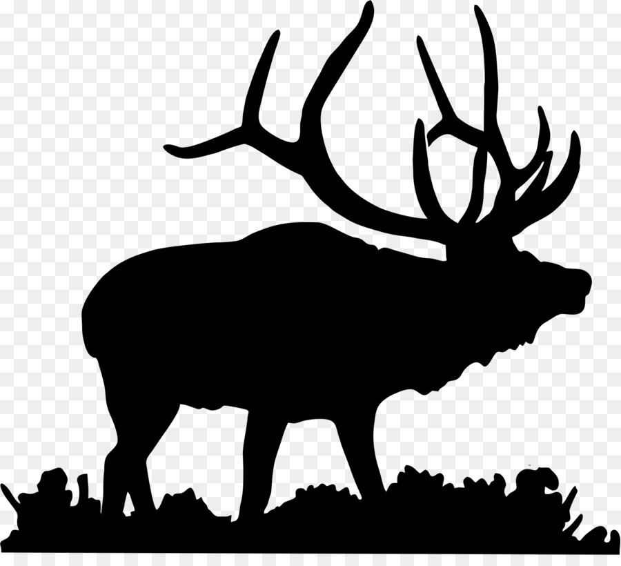 Elk Deer Moose Clip art - Antler png download - 1668*1491 - Free Transparent Elk png Download.