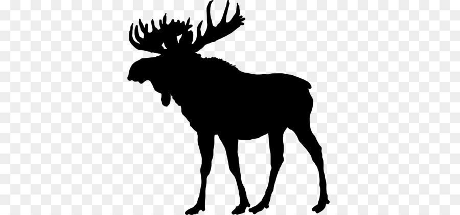 Moose Deer Silhouette Clip art - elk antlers png download - 730*420 - Free Transparent Moose png Download.