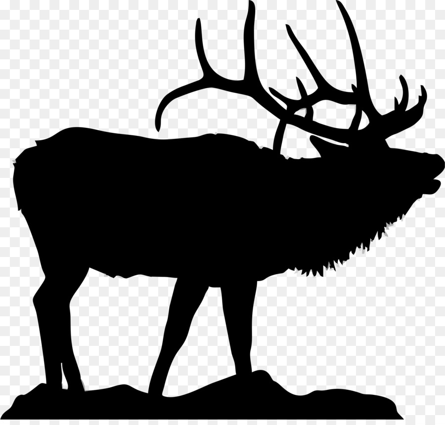 Elk Lake Moose Deer Clip art - deer png download - 1768*1667 - Free Transparent Elk png Download.
