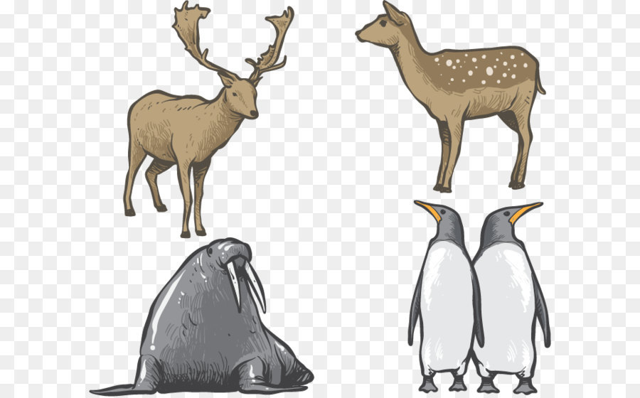 Hand-painted animals png download - 697*598 - Free Transparent Deer png Download.