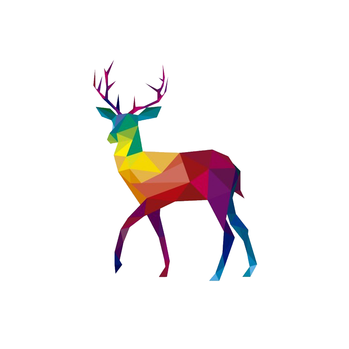 deer illustration png
