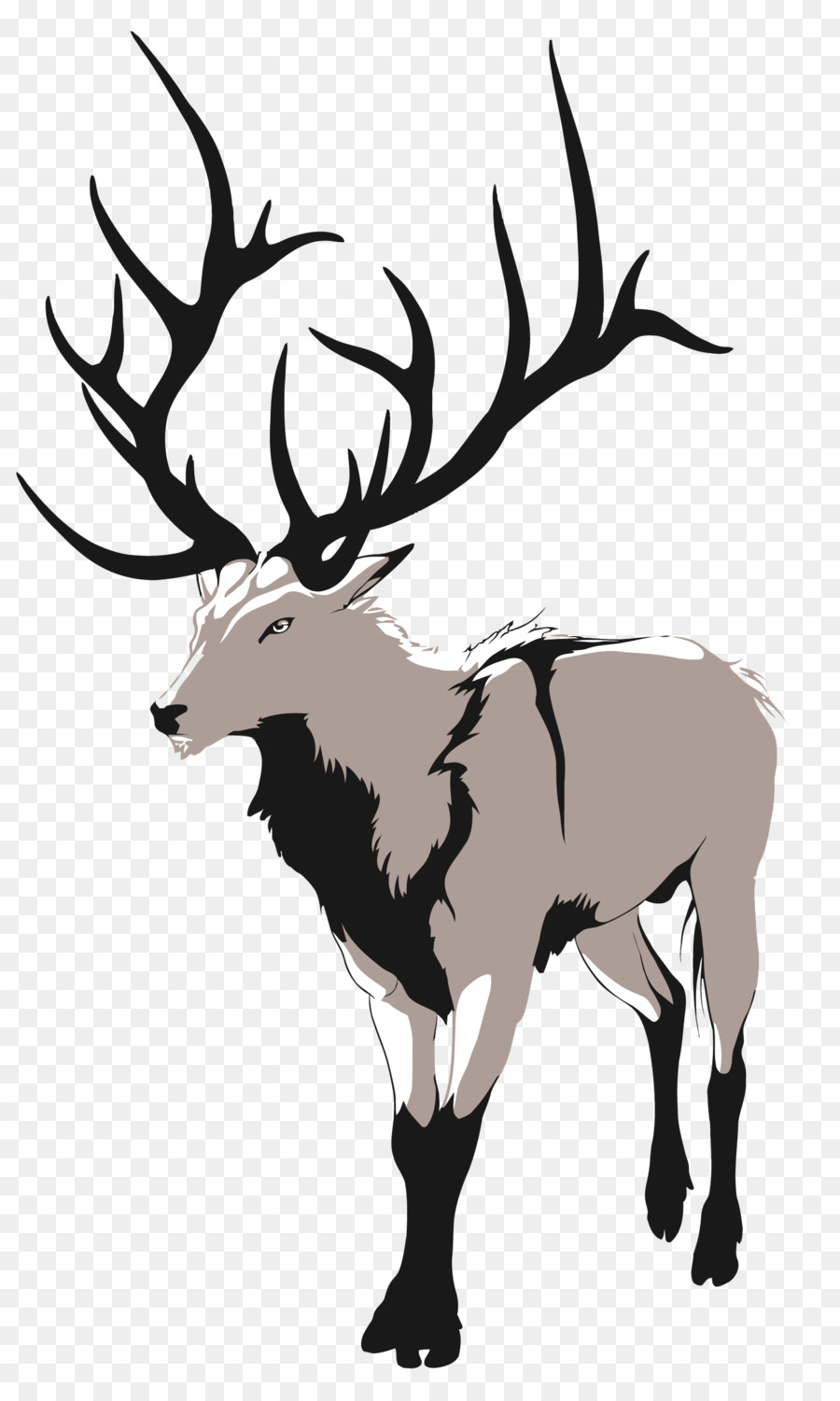 Red deer Artemis Drawing - Vector cartoon deer png download - 1500*2500 - Free Transparent Deer png Download.