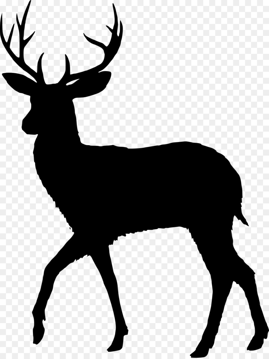 Fallow deer Vector graphics Reindeer Silhouette - fawn silhouette png whitetailed deer png download - 963*1280 - Free Transparent Deer png Download.