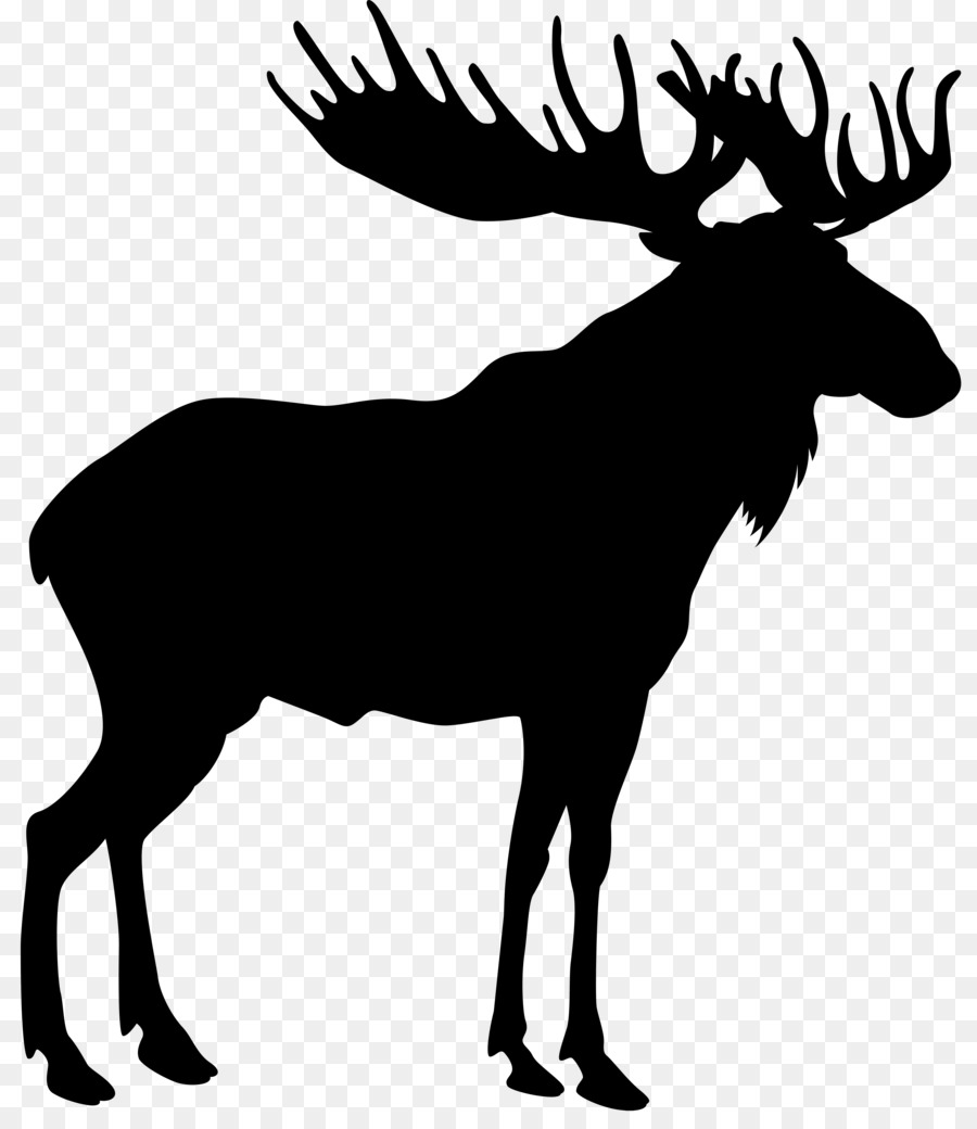 Moose Stock photography Royalty-free Vector graphics Stock illustration -  png download - 6960*8000 - Free Transparent Moose png Download.