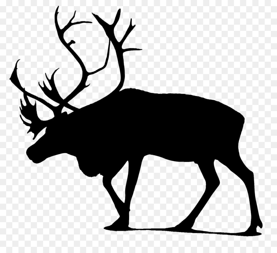 Moose Vector graphics Stock photography Stock illustration -  png download - 1024*917 - Free Transparent Moose png Download.