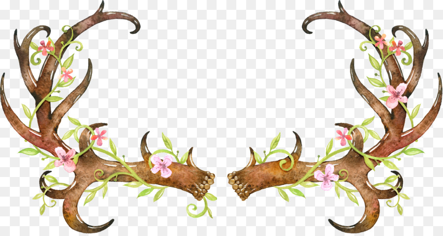 White-tailed deer Elk Antler Skull - Hand-painted claw png download - 4255*2247 - Free Transparent Deer png Download.