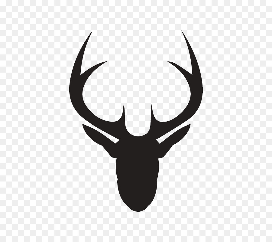 Deer Clip art - deer png download - 800*800 - Free Transparent Deer png Download.