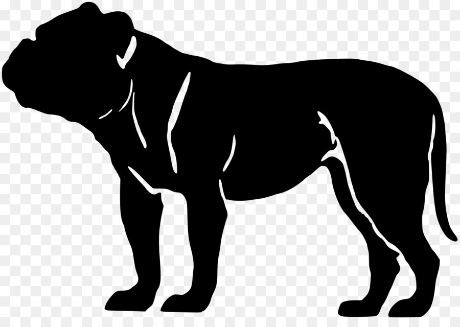 French Bulldog American Bully American Bulldog Olde English Bulldogge - english clipart png download - 2400*1667 - Free Transparent  Bulldog png Download.