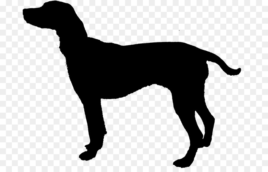 Clip art Labrador Retriever Silhouette English Mastiff Vector graphics -  png download - 750*568 - Free Transparent Labrador Retriever png Download.