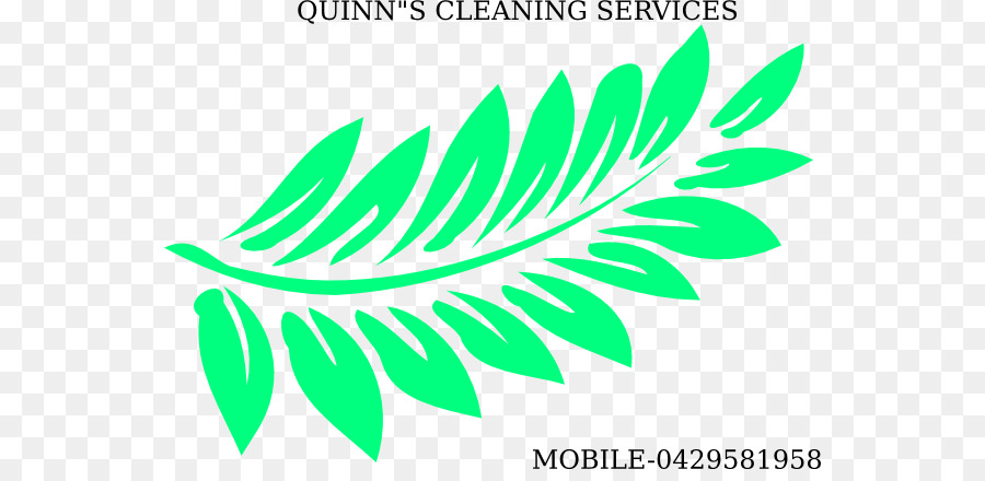 Western sword fern Tattoo Evergreen Vascular plant - Leaf png download - 600*429 - Free Transparent Fern png Download.