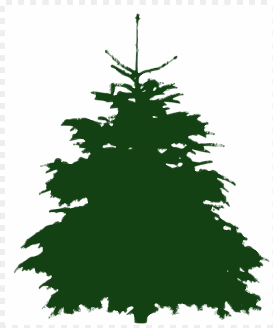 Tree Fir Silhouette - Spruce png download - 2016*2400 - Free Transparent Tree png Download.