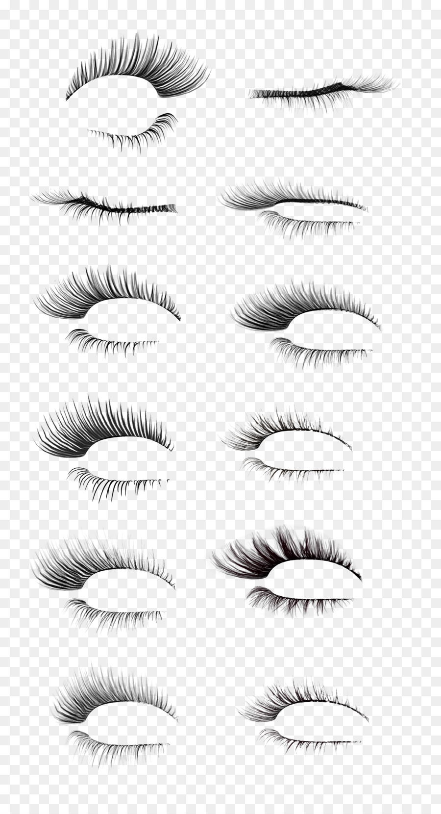 Eyelash Clip art - lashes png download - 3091*5669 - Free Transparent  png Download.