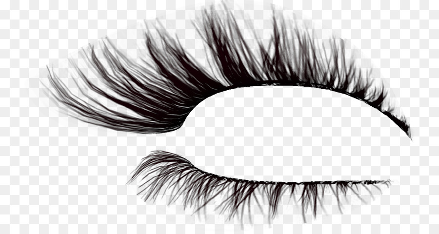 Eyelash Brush Drawing - others png download - 800*475 - Free Transparent Eyelash png Download.