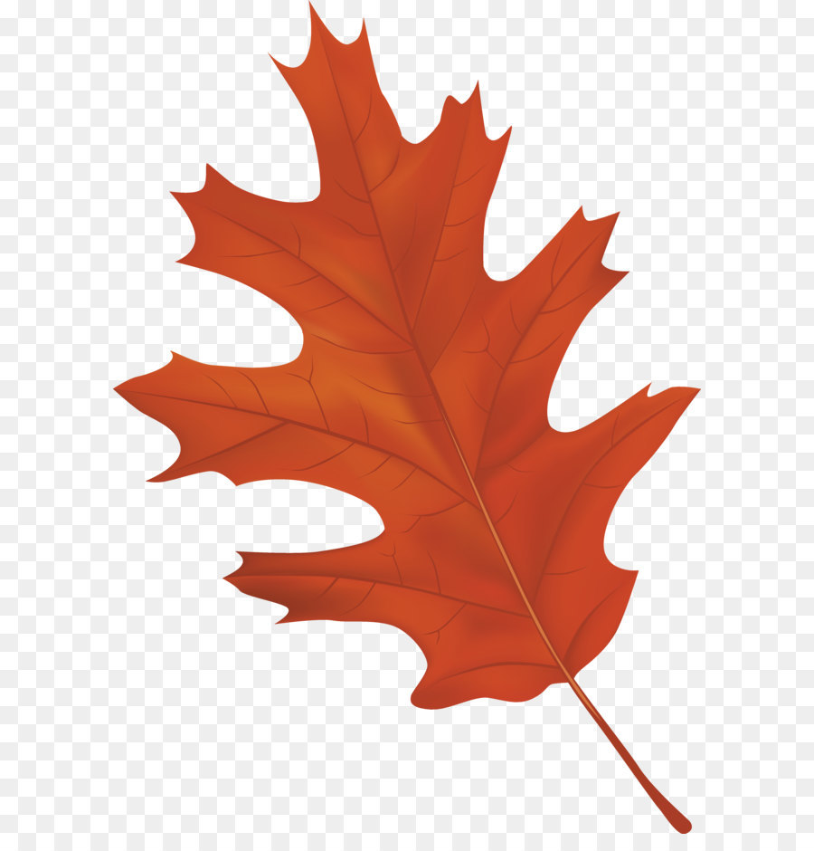Autumn leaf color Clip art - Brown Autumn Leaf PNG Clipart Image png download - 3735*5295 - Free Transparent Autumn Leaf Color png Download.