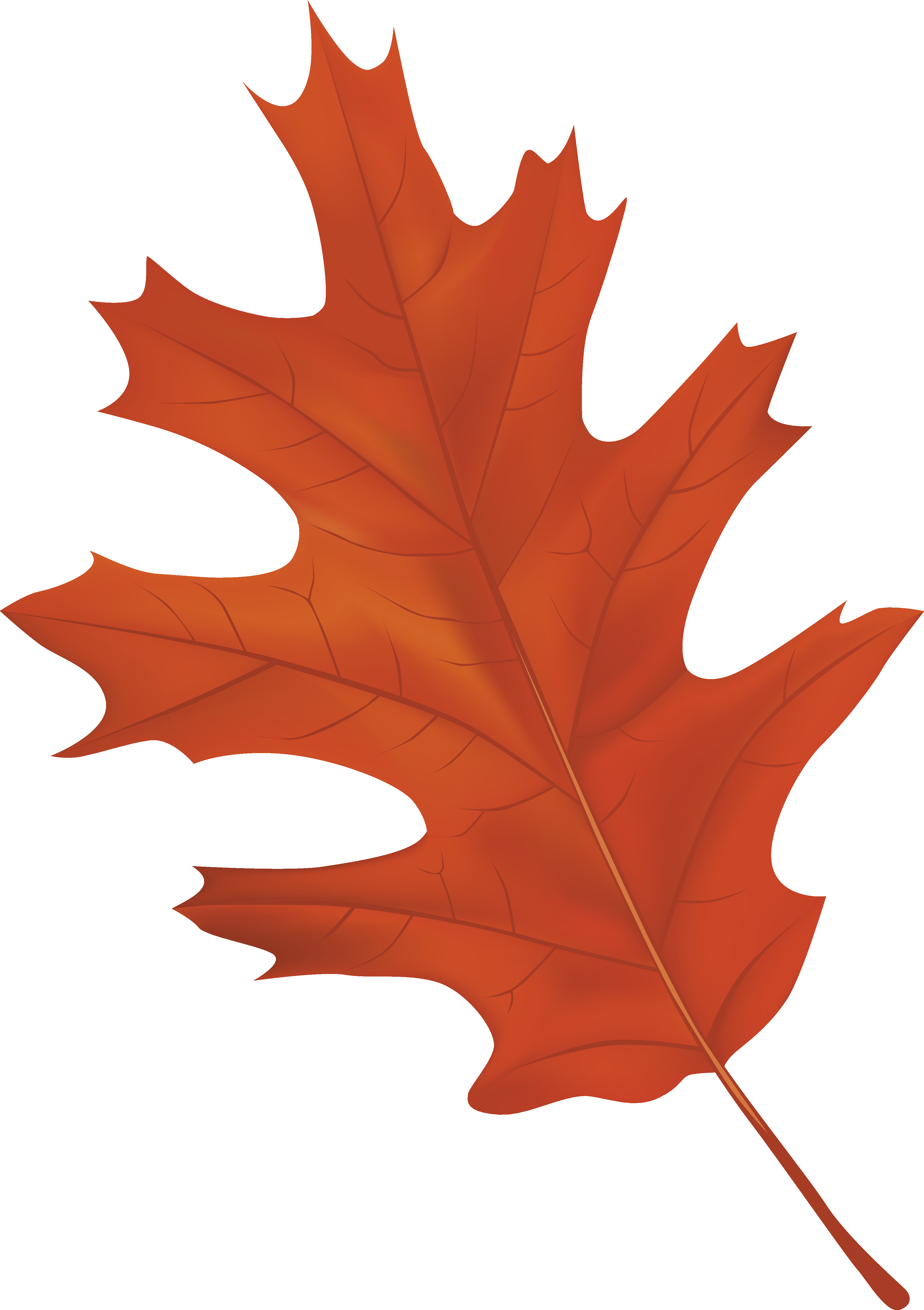 Autumn leaf color Clip art - Brown Autumn Leaf PNG Clipart Image png