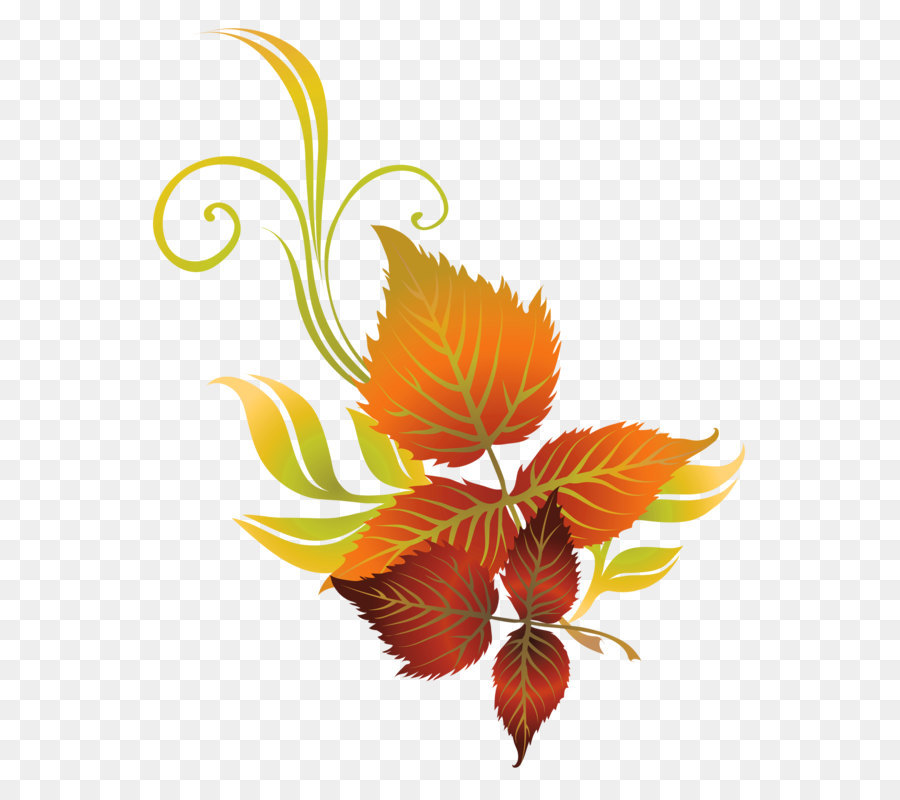 Autumn leaf color Clip art - Fall Leaves Deco PNG Clipart Picture png download - 2779*3370 - Free Transparent Autumn png Download.