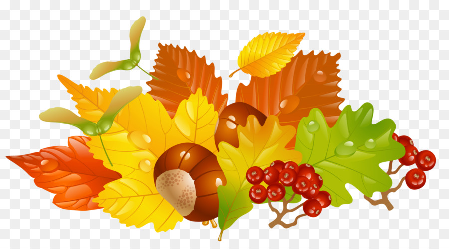 Autumn leaf color Clip art - Chestnut Tree Cliparts png download - 1246*690 - Free Transparent Autumn png Download.