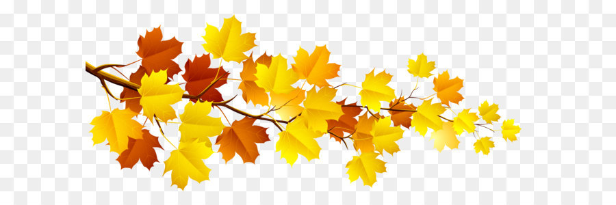 Branch Autumn Tree Clip art - Branch with Autumn Leaves PNG Clipart png download - 5999*2681 - Free Transparent Branch png Download.