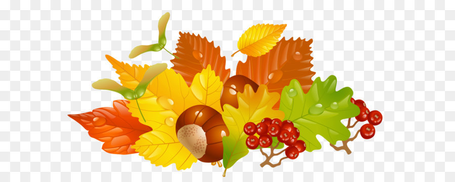 Autumn leaf color Clip art - Transparent Fall Leaves and Chestnuts Picture png download - 1246*690 - Free Transparent Autumn png Download.