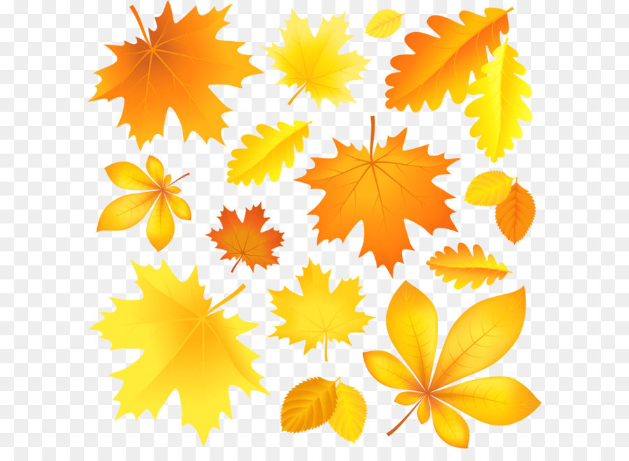 Autumn leaf color Clip art - Transparent Fall Leaves Picture png download - 8000*7897 - Free Transparent Autumn png Download.