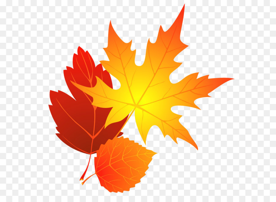 Transparent Fall Leaves Clipart png download - 994*985 - Free Transparent Autumn png Download.
