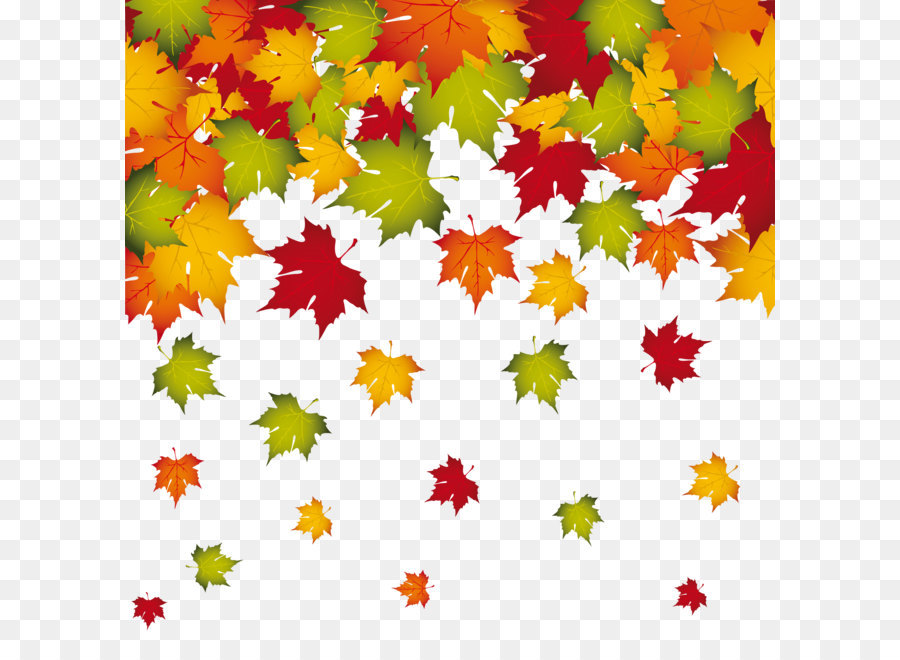 Autumn leaf color Clip art - Transparent Fall Leaves Decoration PNG Image png download - 2500*2500 - Free Transparent Autumn Leaf Color png Download.