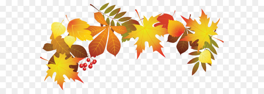 Autumn leaf color Clip art - Transparent Autumn Leaves Decoration PNG Clipart Image png download - 6759*3276 - Free Transparent Autumn png Download.