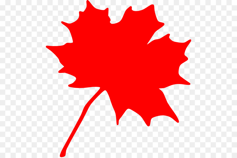 Canada Sugar maple Maple leaf Clip art - Maple Leaf Silhouette png download - 552*597 - Free Transparent Canada png Download.