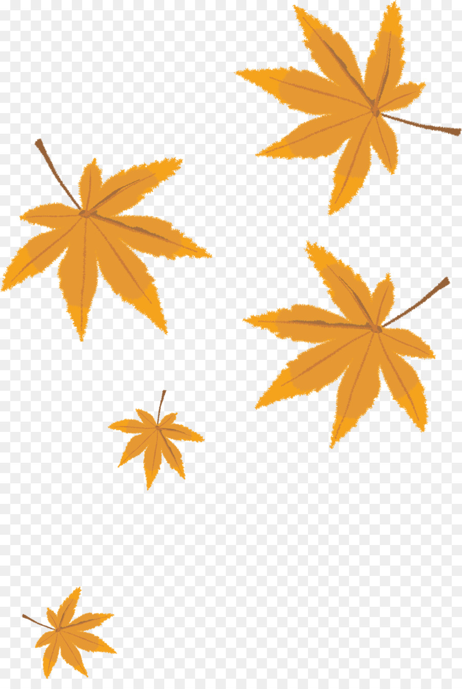Leaf Cartoon - Autumn leaves png vector material png download - 1637*2403 - Free Transparent Leaf png Download.