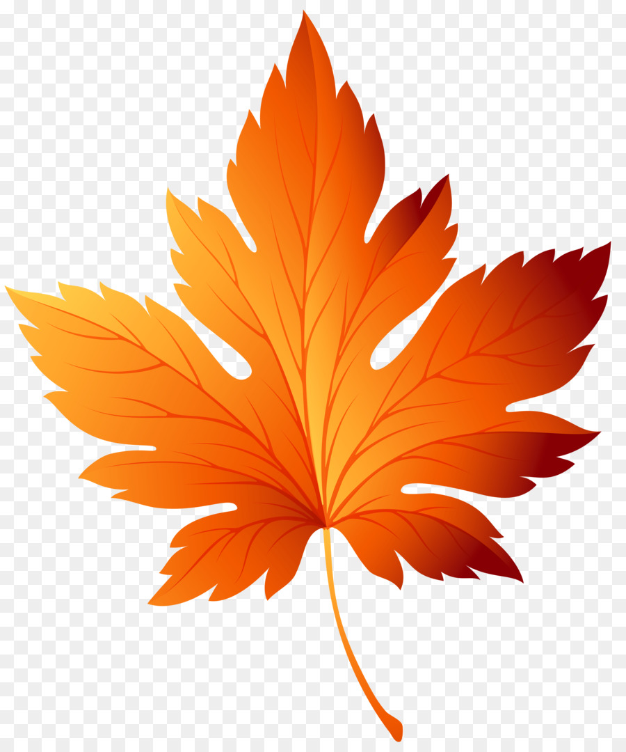 Autumn leaf color Clip art - autumn leaves png download - 5839*7000 - Free Transparent Autumn Leaf Color png Download.