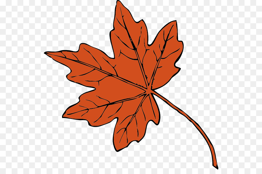 Maple leaf Clip art - Maple Leaf Silhouette png download - 600*585 - Free Transparent Maple Leaf png Download.