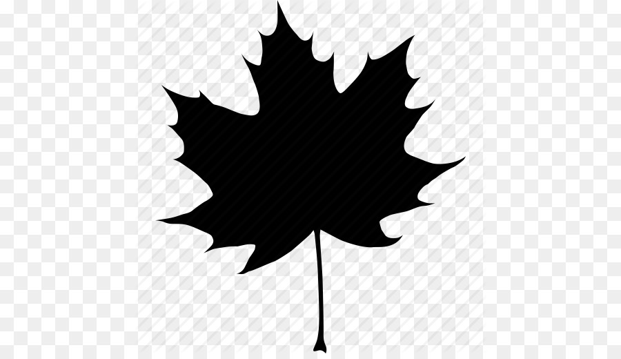 Canada Acer nigrum Maple leaf Computer Icons Autumn - Black, Autumn, Canada, Canadian, Fall, Leaf, Maple, Tree Icon png download - 512*512 - Free Transparent Canada png Download.
