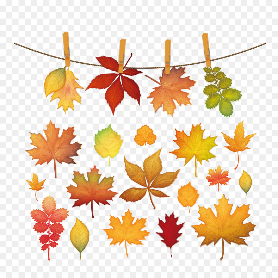 Maple leaf Silhouette - Autumn clip and red leaves picture png download - 1500*1500 - Free Transparent Maple Leaf png Download.
