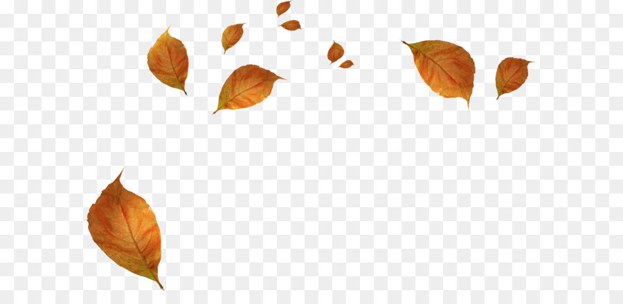 Leaf Autumn - Withered autumn leaves png download - 2342*1526 - Free Transparent Autumn png Download.