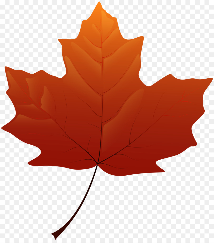 Maple leaf Yellow Clip art - autumn leaves png download - 7090*8000 - Free Transparent Leaf png Download.