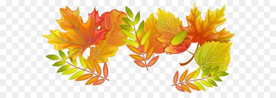 Autumn Leaf - Fall Leaves PNG Decorative Clipart Image png download - 6159*2960 - Free Transparent Leaf png Download.