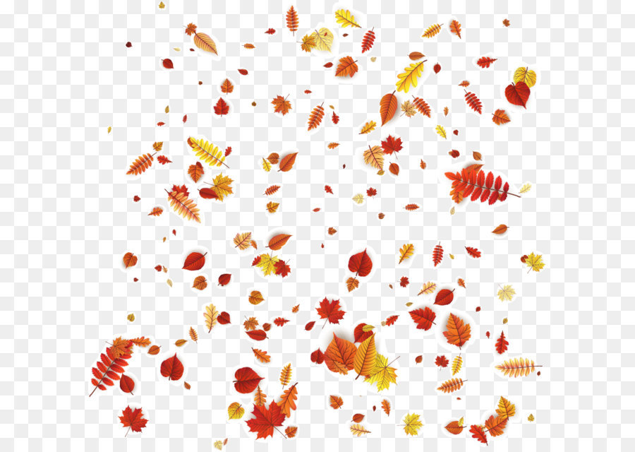 Petal Floral design Orange Pattern - Vector autumn leaves falling png download - 854*839 - Free Transparent Leaf ai,png Download.